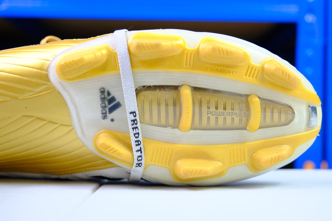 Adidas Predator Absolute FG